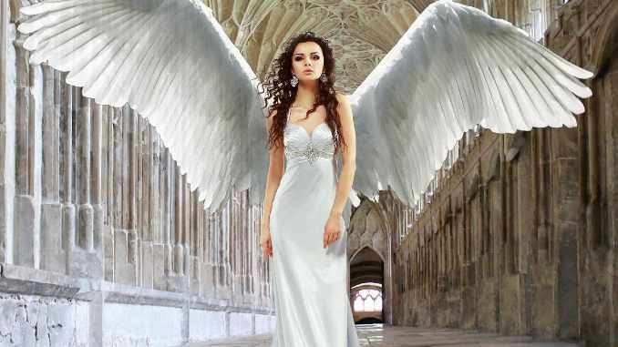engel gebaeude angel