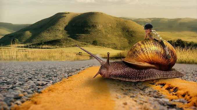 kind schnecke snail