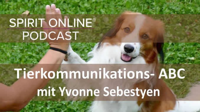Podcast tierkommunikation yvonne sebestyen 27-10-2022