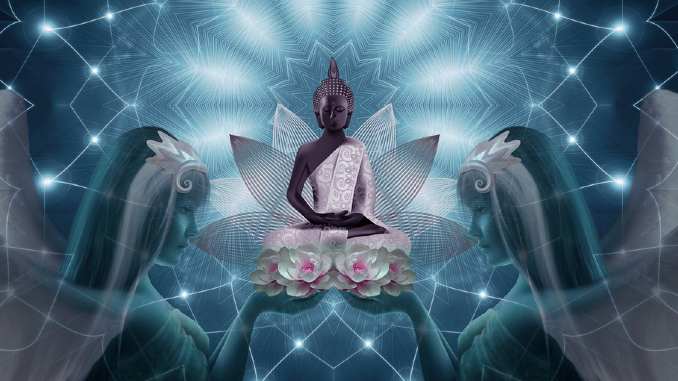 meditation lotus bluete fantasy
