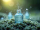 Lebendiges Wasser im Glas steht auf Moss