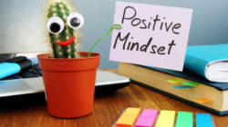Stressvermeidung bei Start Ihres Kleinunternehmens mindset kaktus positiv