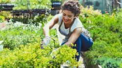 Eigene kleine selbstverantwortliche Welt frau gärtner pflanzen canva