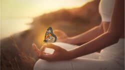 Meditationsinduzierte Nachtodkontakte und Trauertherapie yoga schmetterling istockphoto jana stapel