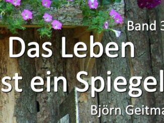 Das Leben ist ein Spiegel 3 spirituelle Bücher Björn Geitmann