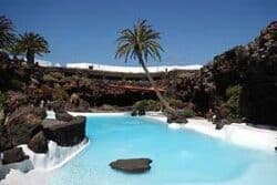 Landschaft mit Palme und Wasser Lanzarote