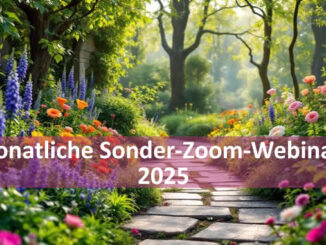 Monatliche Sonder Zoom Webinare Barbara Bessen