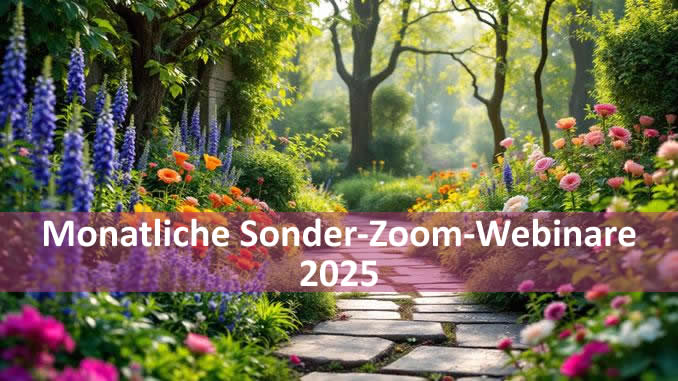 Monatliche Sonder Zoom Webinare Barbara Bessen