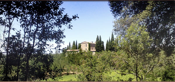 Castello-di-Orgiale