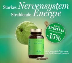 Banner nov dez ogaenics b-happy