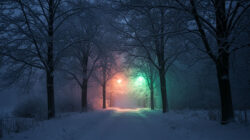 Raunächte winterliche Straße bei Nacht