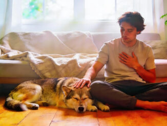 Mann fühlt sich in seinen Hund ein