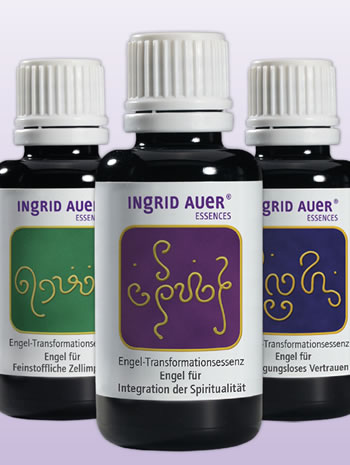 Banner Ingrid Auer Transformations-Essenzen