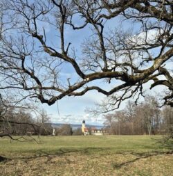 Spirituelle Erkenntnis Kloster am See