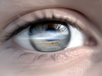 Nahaufnahme Auge mit Landschaft