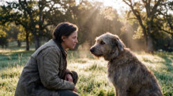Tierliebe - Frau schaut Hund liebevoll an