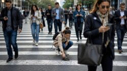 Achtsamkeit Kritik Eine Frau hilft einer Schildkröte auf der Straße