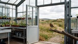 Artensterben stoppen - ein Vogel sitzt in einem Gewächshaus
